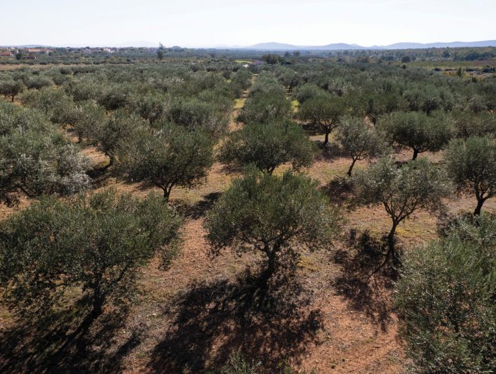 DJI_0020