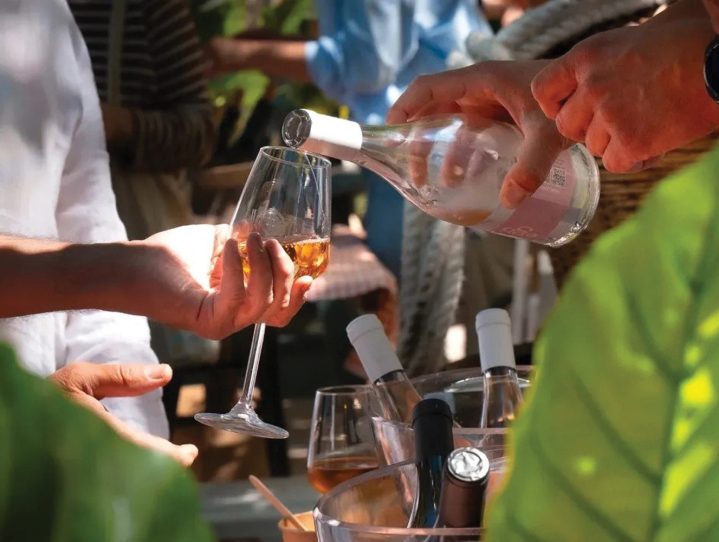EGO Rosé ne traži posebne prilike – on ih stvara. 💓Ovo vino nosi terroir Jadrtovca – surovi krš