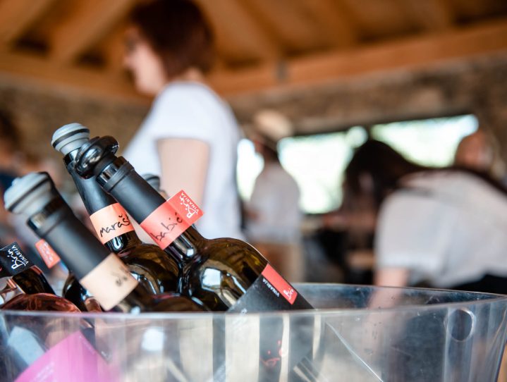 birin winery (12)
