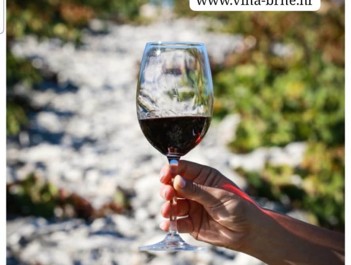brne winery (12)