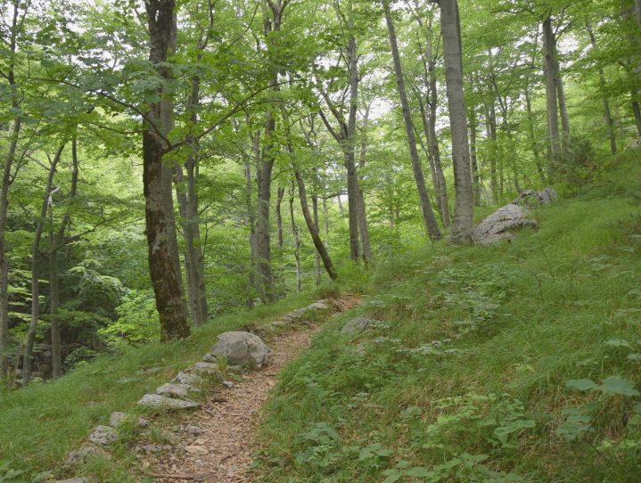 np paklenica (10)